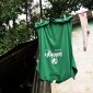 Raleigh Washing